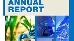 Annual report