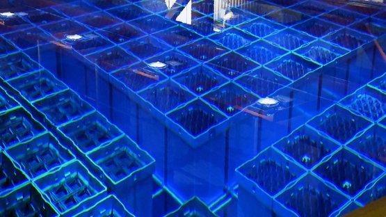 Photo Essay: 10 Years of ARTEMIS