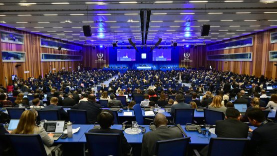 A view of the meeting room at the IAEA's 69th General Conference
