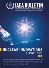 Nuclear Innovations for Net Zero