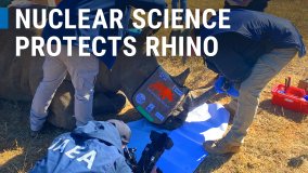 Protecting Rhino – the Nuclear Way