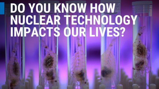 Do You Know How Nuclear Technology Impacts Our Lives?