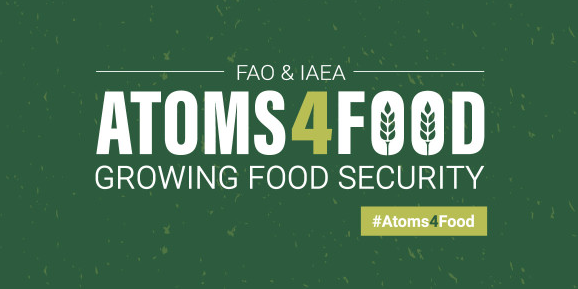 aroms4food-logo.png