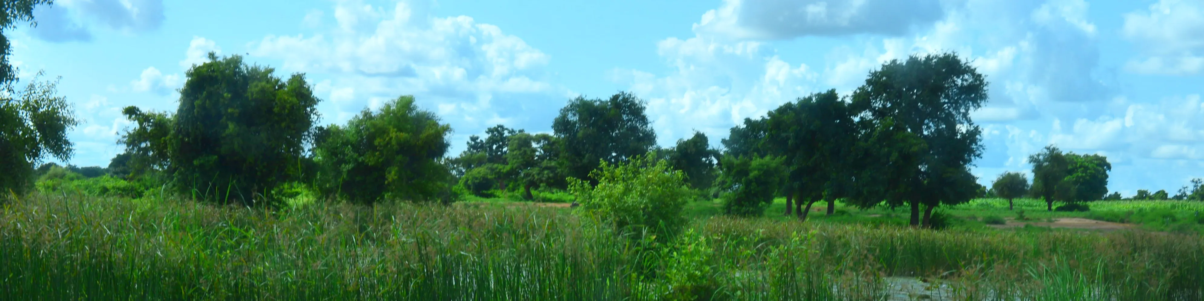 Small lake, Burkina Faso