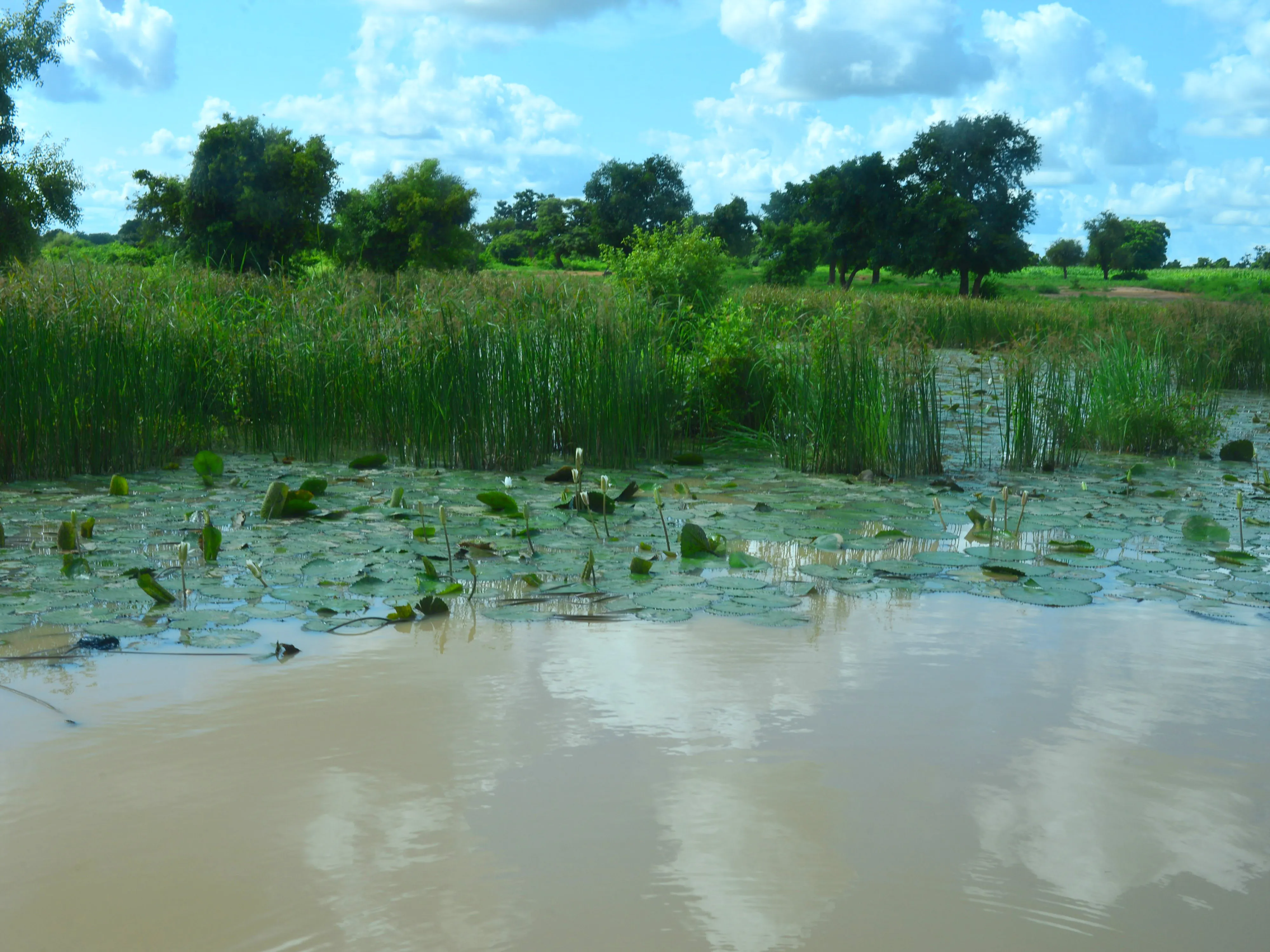 Small lake, Burkina Faso